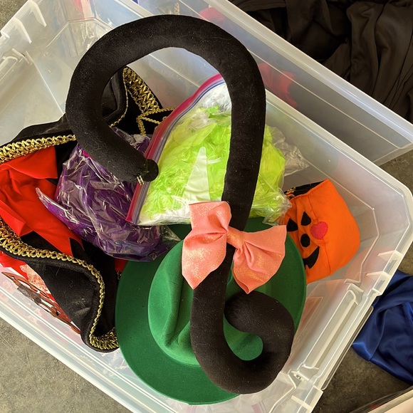 Tail. Pussy Cat - Picture 1 of 2